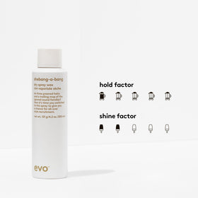 EVO Shebang-A-Bang provides a matte finish with flexible hold.