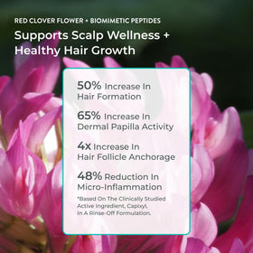 EVOLVh Better Roots ingredients close-up highlights red clover actives