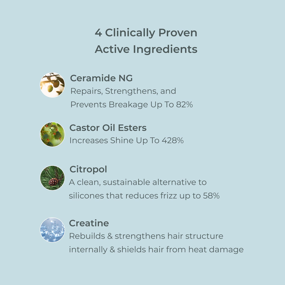 EVOLVh Better Roots packaging image emphasizes vegan, clean hair care.