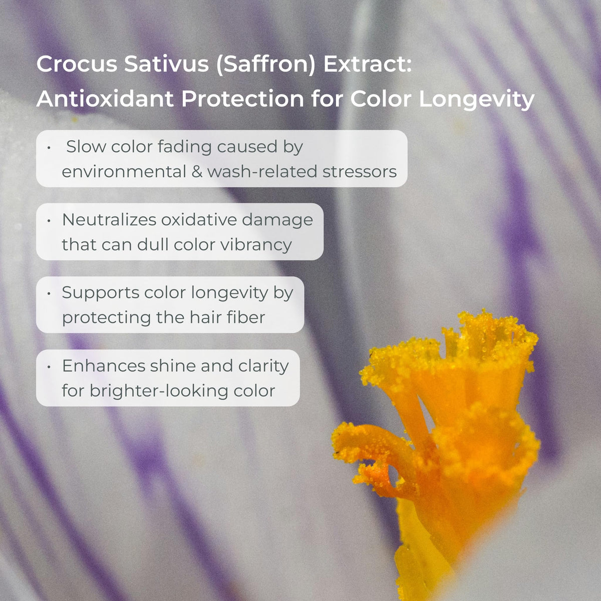 EVOLVh SmartColor Protecting Shampoo packaging highlights vegan, clean formula