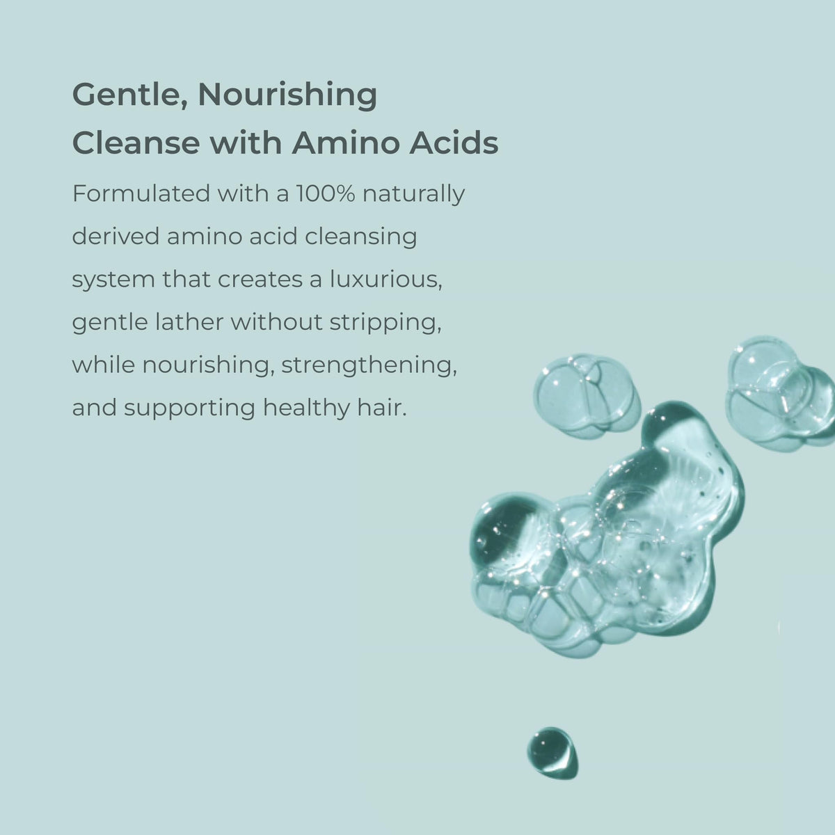 EVOLVh UltraShine ingredient panel highlights antioxidants and amino acids.