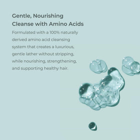 EVOLVh UltraShine ingredient panel highlights antioxidants and amino acids.