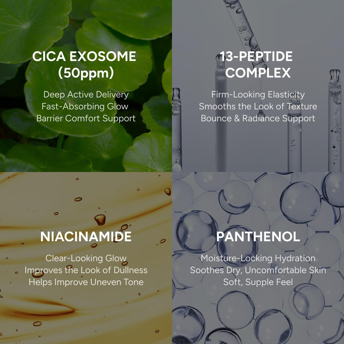 EXOPROXYL peptides and growth factors bottle label conveys barrier-support potential