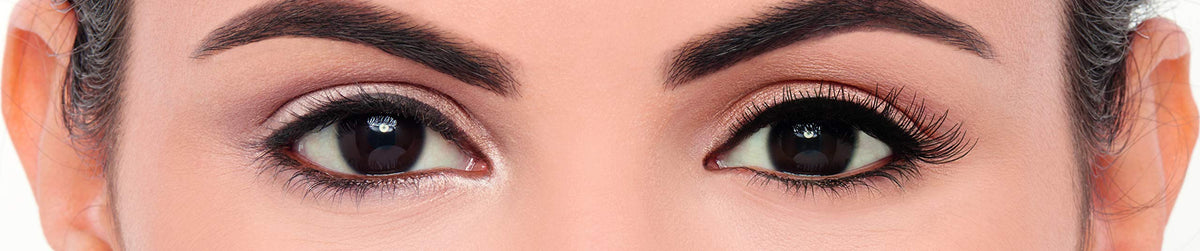 Eylure Fluttery Light 008 handmade lashes, reusable up to five wears.