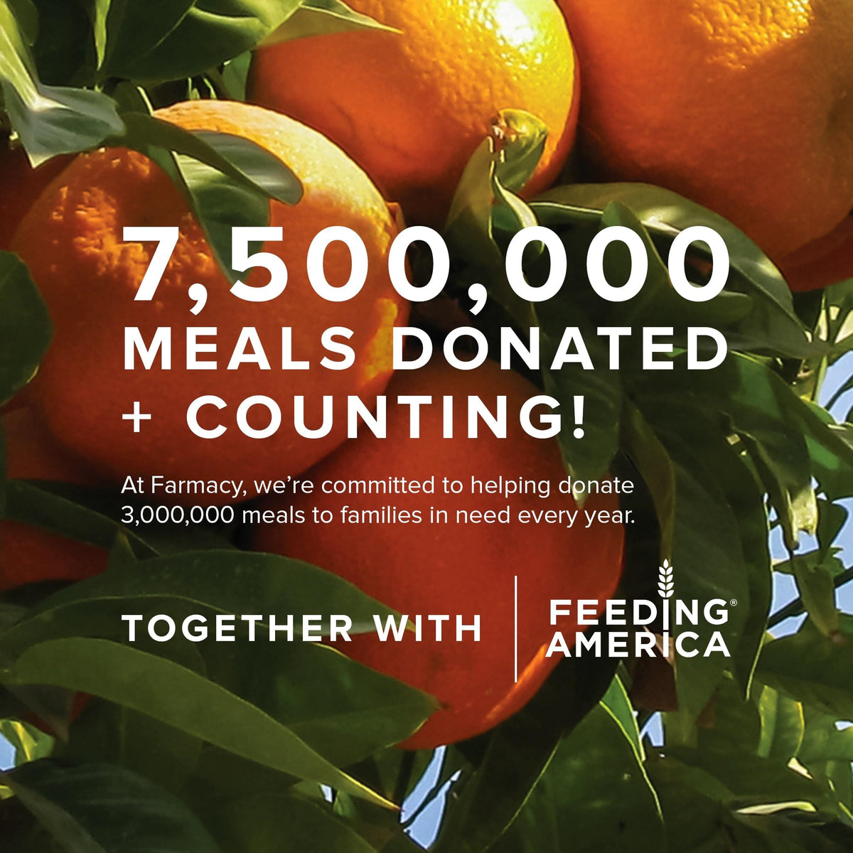 Farmacy Bright On AHA packaging highlights sustainable sourcing and care.