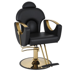 FDW professional salon chair base, sturdy iron frame for reliable daily use in busy barbershops.
