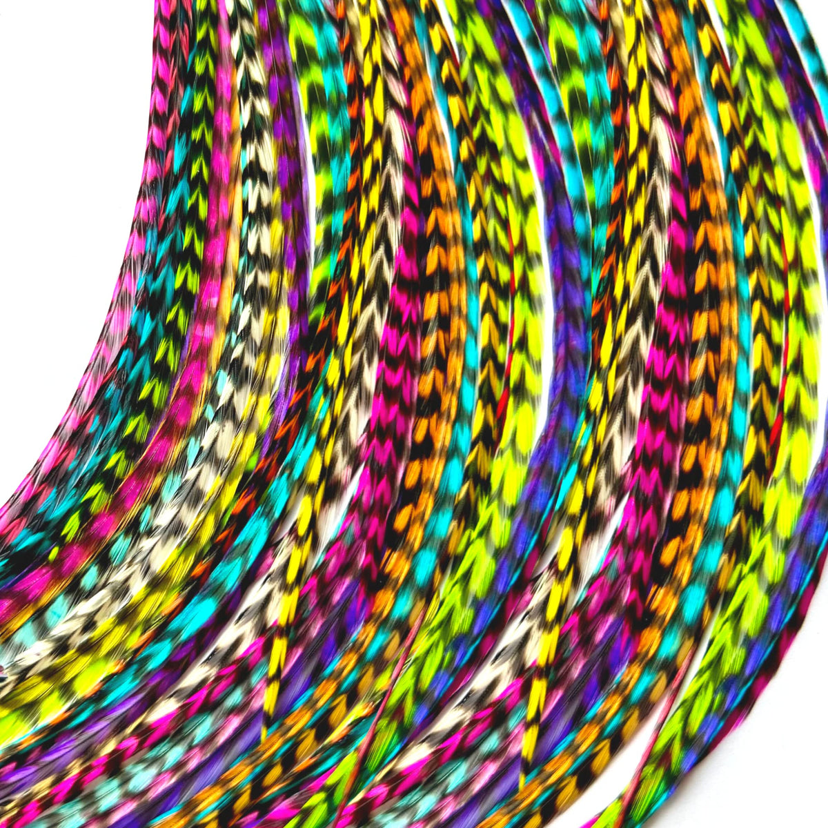 Feather Lily rainbow-striped feathers for vibrant hair extensions