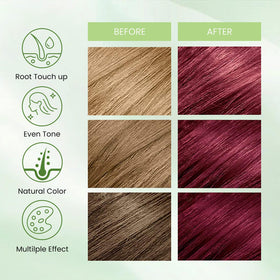 Fedulili Hair Dye Shampoo root touch-up demonstrates quick gray coverage options.