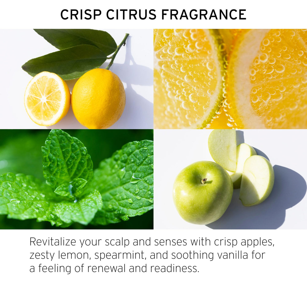 Fekkai Apple Cider Detox Rinse glossy hair after use with enhanced shine