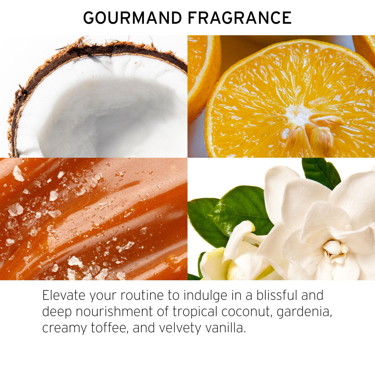 Close-up of creamy texture of Fekkai Shea Butter Intense Mask.