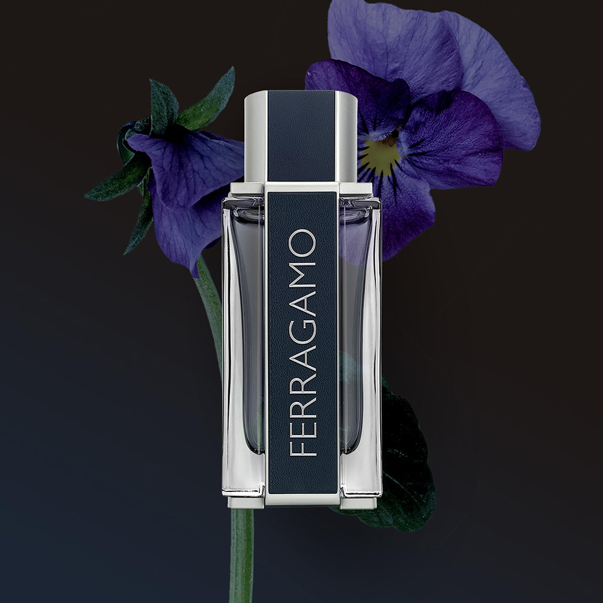 Ferragamo Eau de Toilette box packaging highlighting premium presentation.