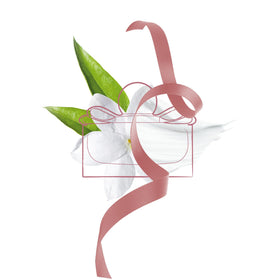Ferragamo Signorina EDP bottle close-up with cap detail for refined style.