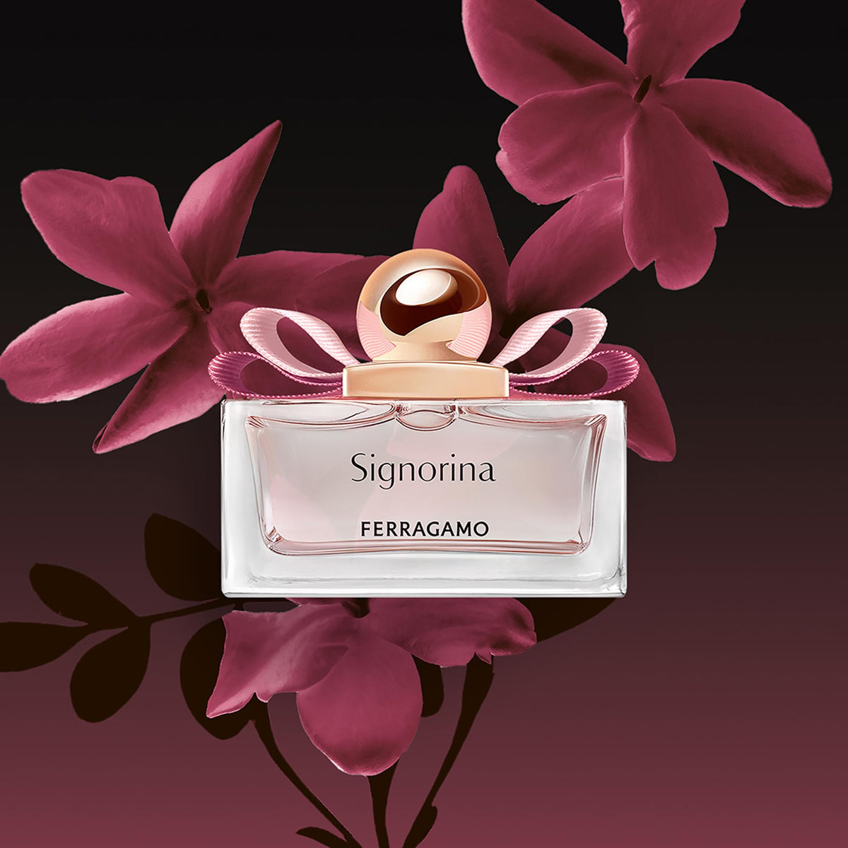 Ferragamo Signorina EDP box presentation highlighting gift-ready packaging.