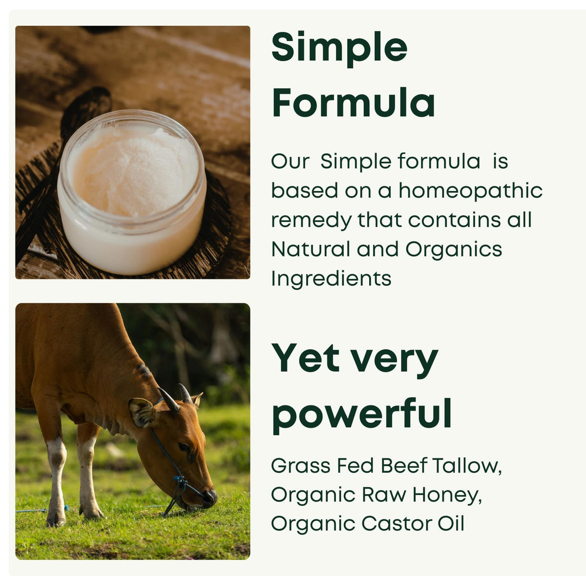 Florida Barn Tallow Honey Balm hand-application demonstrates soothing moisture on elbows.