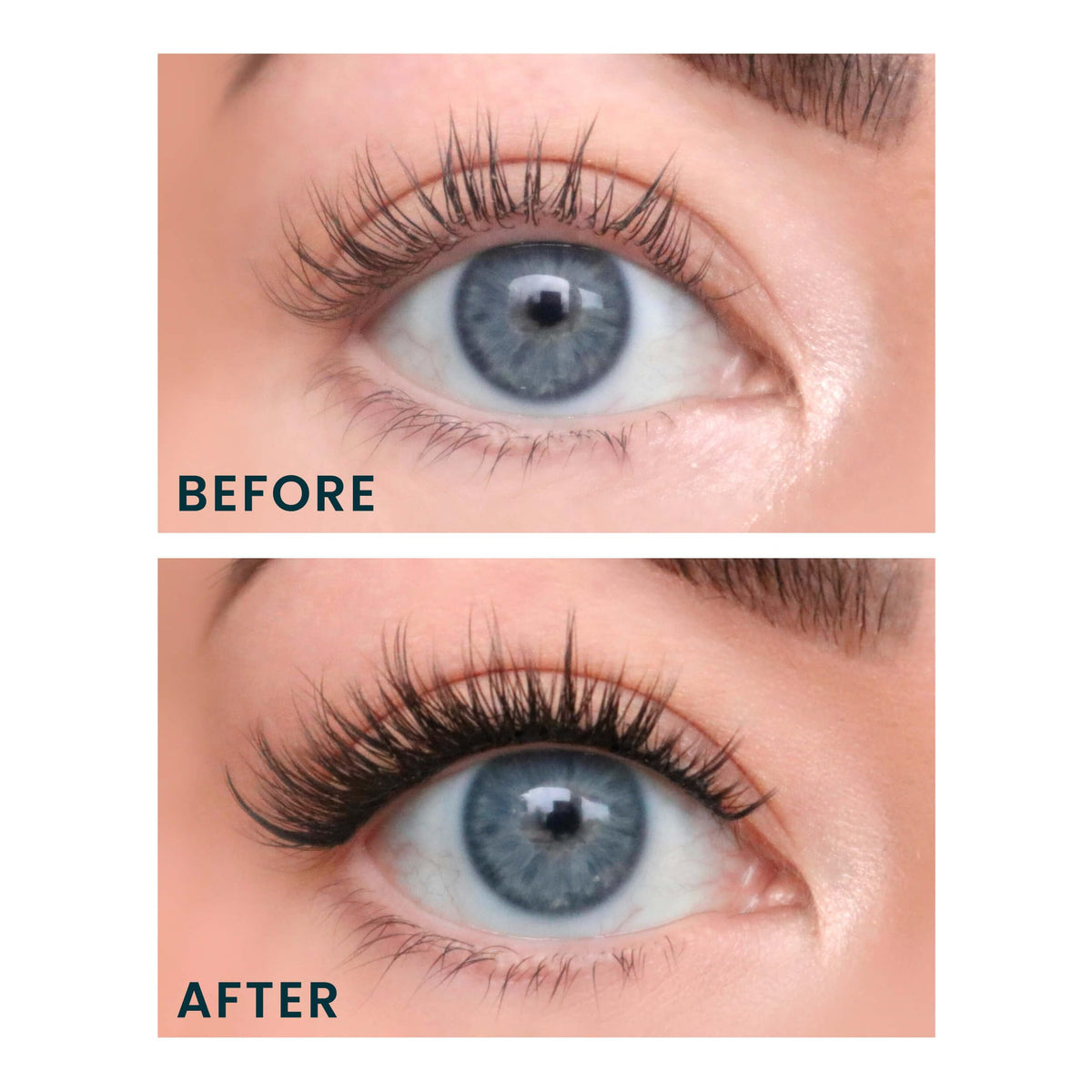 FlutterHabit Bestie Lashes pre-cluster design enables quick, mapping-free application.