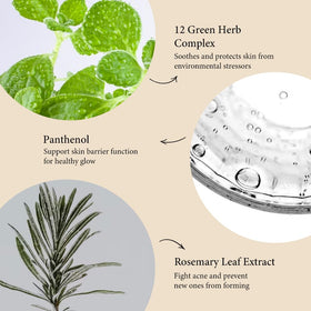 Fraijour Tea Tree Peppermint glow focus reduces oiliness