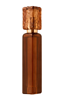 Fridays with Tab and Chance Traveler His Business bottle top view highlighting cocoa and suede notes