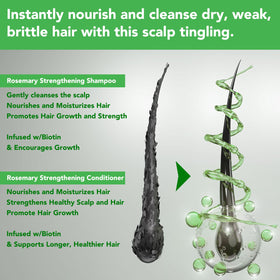 Close-up of rosemary mint shampoo lather on wet hair