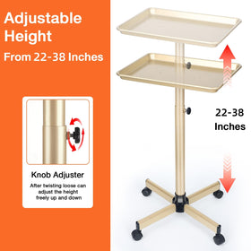 Fuehomue adjustable-height salon tray enabling ergonomic positioning across tasks