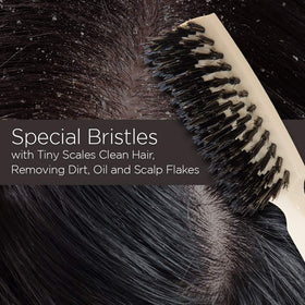 Fuller Brush Lustre Professional Hairbrush ideal for fine hair grooming sessions.
