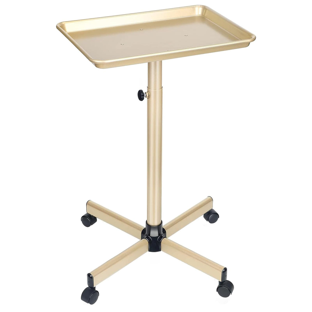 FWOD BIBTO salon tray champagne gold keeps styling tools organized.