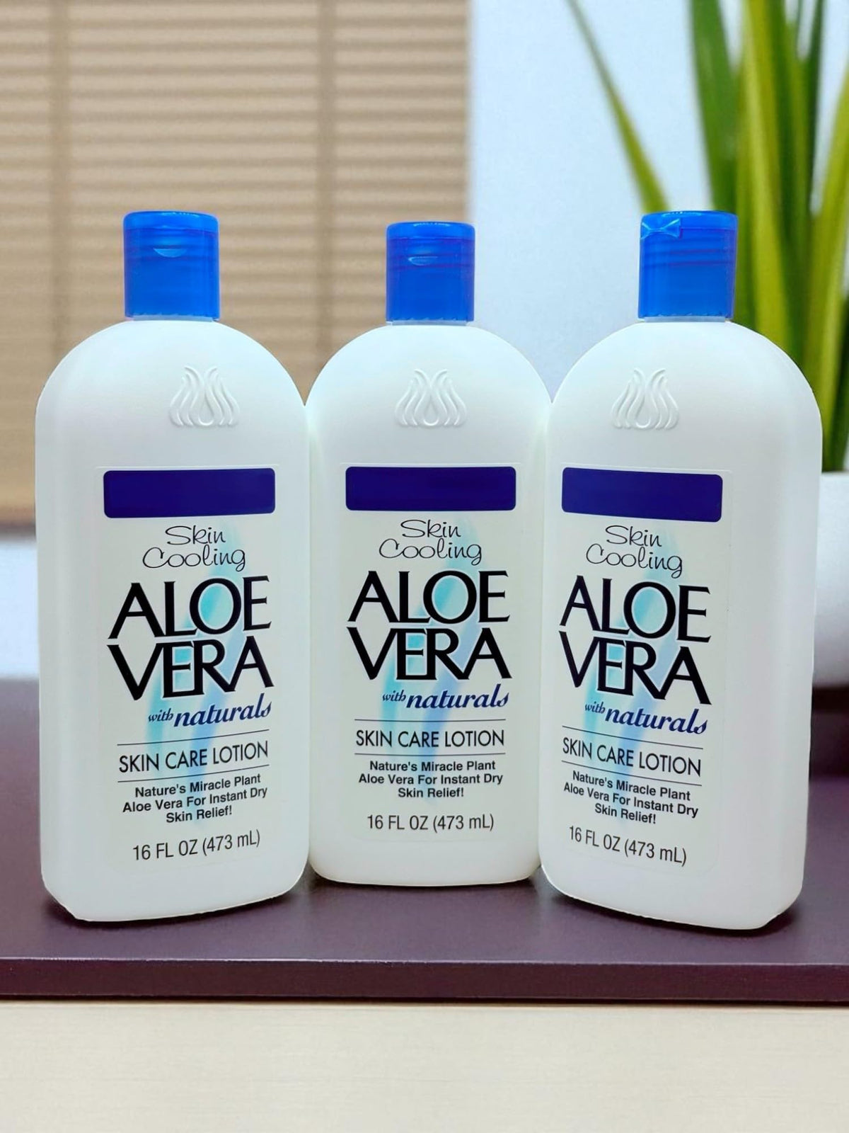 Generic Aloe Vera Skin Care Lotion absorbs quickly for comfortable hydration