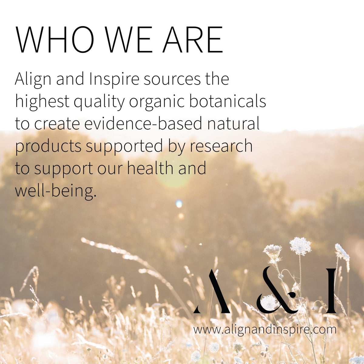 Generic Bakuchiol Serum brand visual with product name suggests reliable plant-based care.