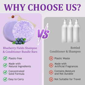 Generic Blueberry Fields dry hair care emphasizes moisture and softness