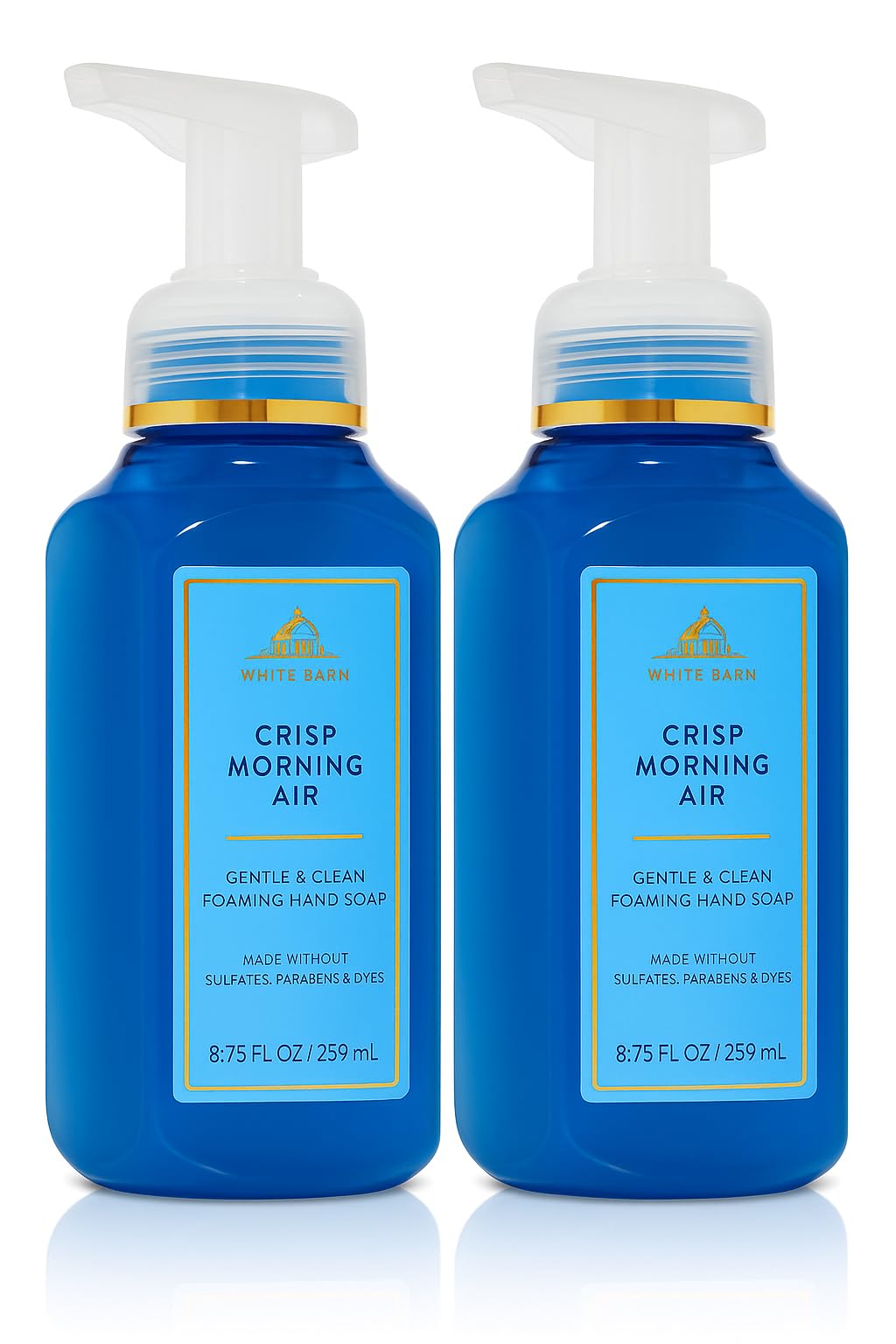 Generic Crisp Morning Air foaming hand soap bottle offering gentle cleansing and a refreshing scent for daily use.