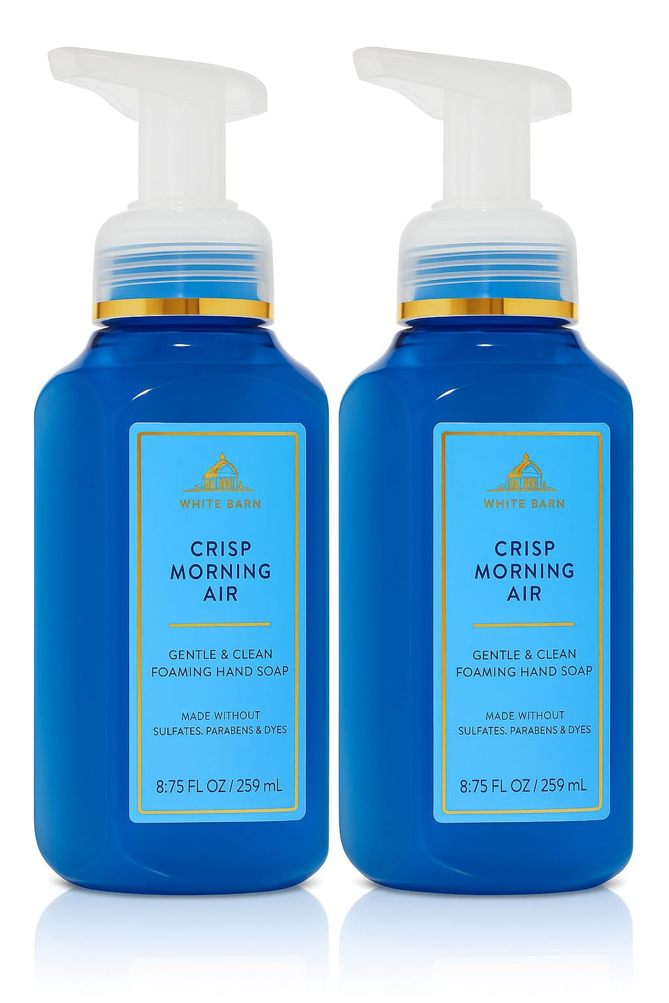 Generic Crisp Morning Air foaming hand soap bottle offering gentle cleansing and a refreshing scent for daily use.