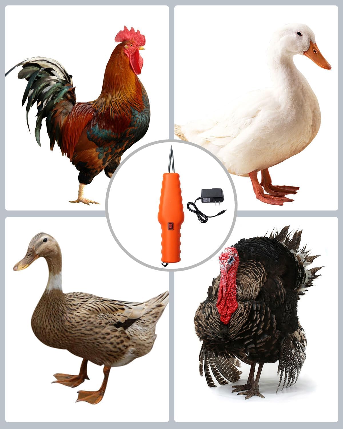Generic Handheld Chicken Plucker easy cleanup after messy feather work.