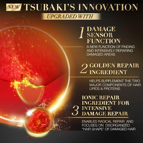 Generic Premium EX Set Tsubaki product duo on shelf communicates a balanced cleansing and conditioning combo.