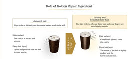 Generic Premium EX Set Tsubaki two-bottle display ready for a cohesive hair care routine.