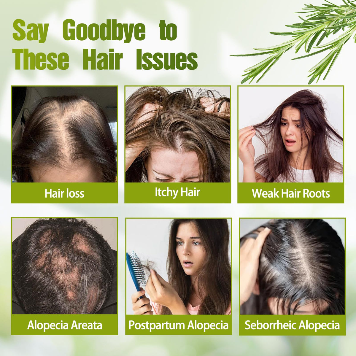Generic Rosemary Hair Growth Shampoo ingredients label shows rosemary and keratin.