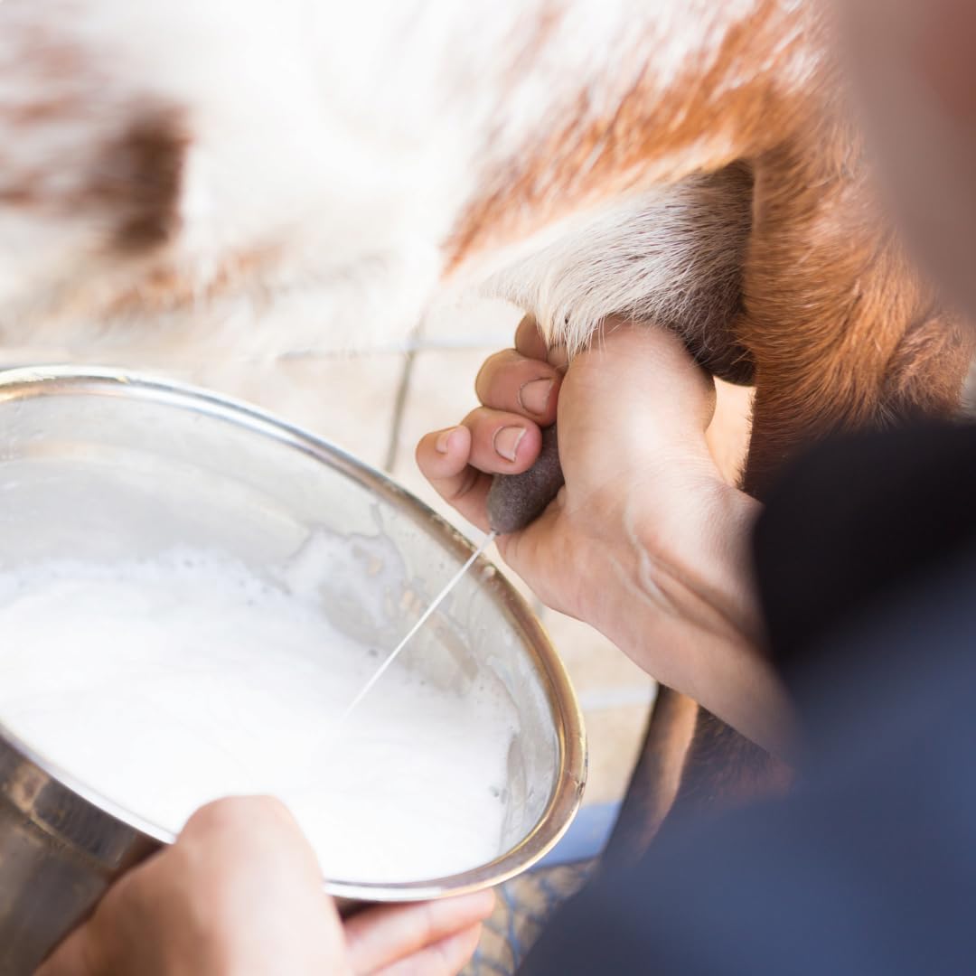 Generic Tallow & Goat Milk Lotion swatch showing silky texture.