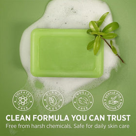 Generic Tea Tree Soap Bar foot care focus communicates soothing relief and odor control.