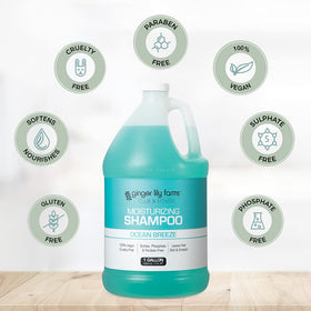 Pack of 4 bottles ready for locker rooms or studios