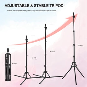 Ginogend wig head with mount holes for secure attachment to stands.