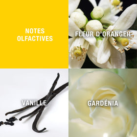 Giorgio Beverly Hills For Women floral notes heart with tuberose and gardenia for a lush impression
