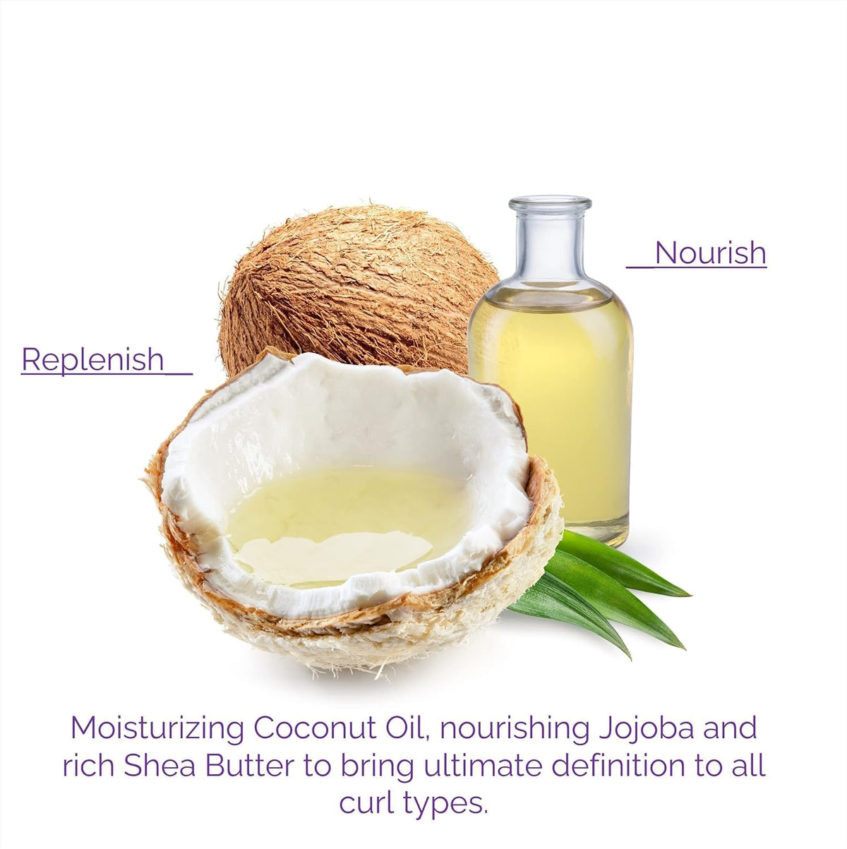 GIOVANNI Curl Habit ingredient close-up with coconut oil, jojoba, shea butter supporting frizz control.
