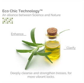Giovanni Tea Tree Triple Treat shampoo peppermint and eucalyptus blend delivers cooling, invigorating wash.