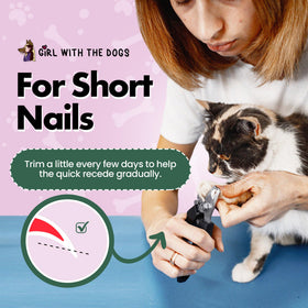 Girl With The Dogs essential grooming tool supports regular paw care.