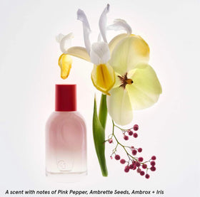Glossier You holiday gift packaging emphasizes a two-piece scent duo.