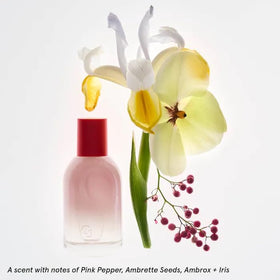 Glossier You travel rollerball highlights portable scent on the go