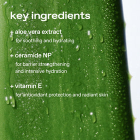 Glow Aloe Barrier ceramide NP ingredient focuses on strengthening the skin's resilience.