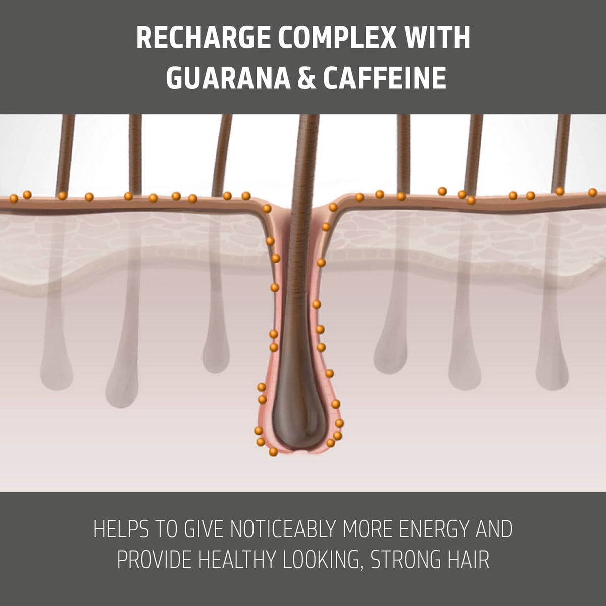 Goldwell DualSenses Men Thickening Shampoo packaging highlights daily use for fine hair