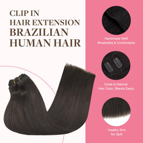 GOO GOO 24 inch dark brown clip-in set for full body length