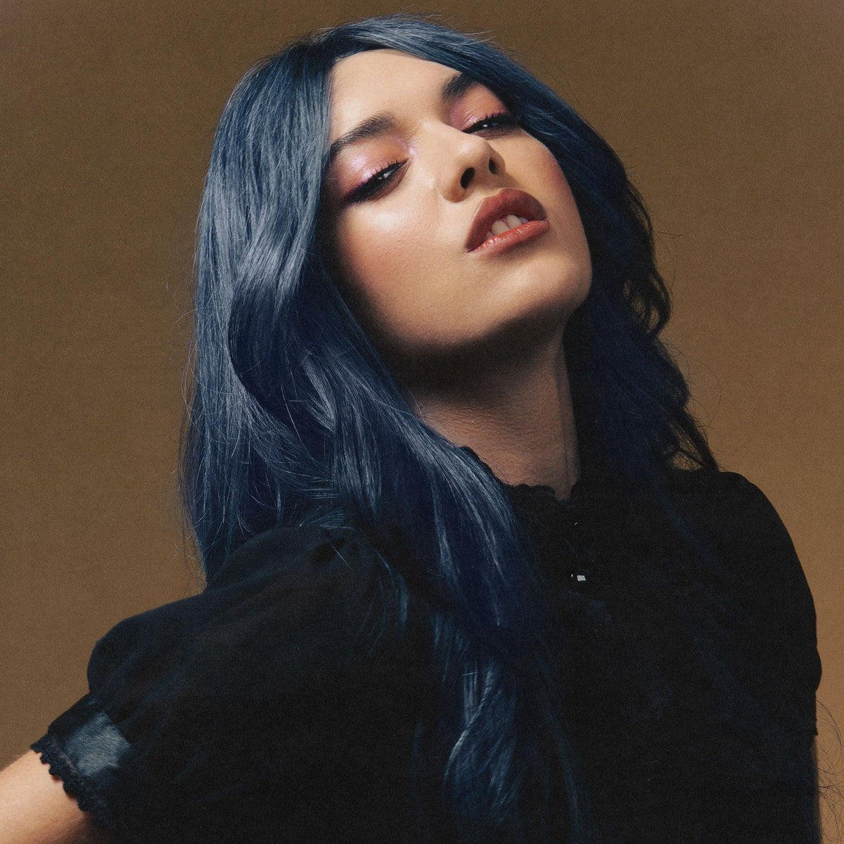 Indigo Tea swatches on hair demonstrating a soft desaturated hue