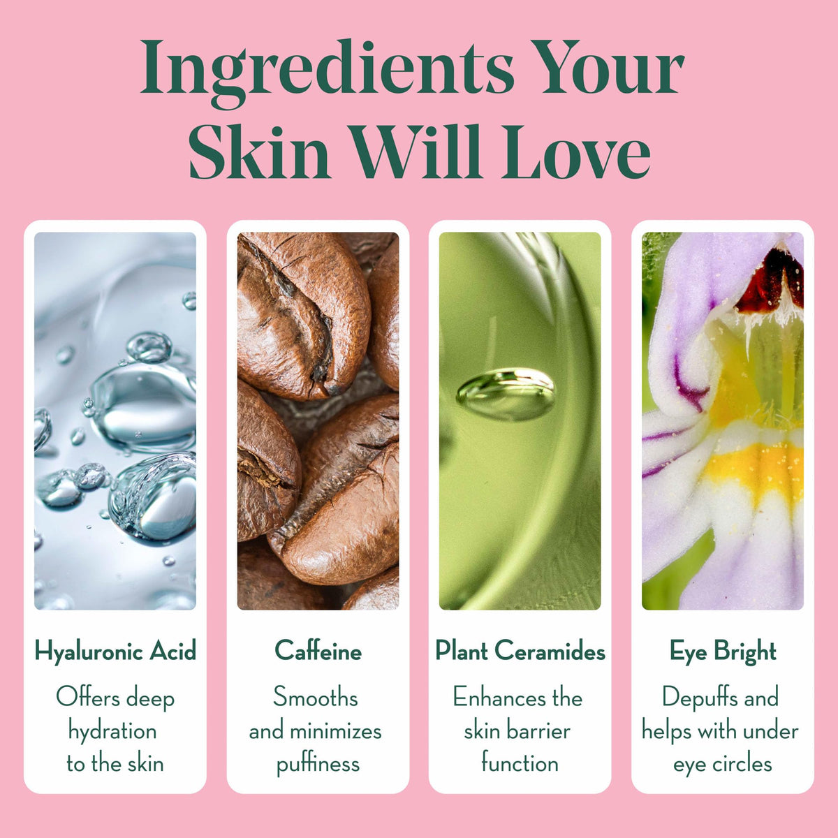 GOODNESS VEGAN Eye Cream ceramides barrier protection for delicate under-eye skin.