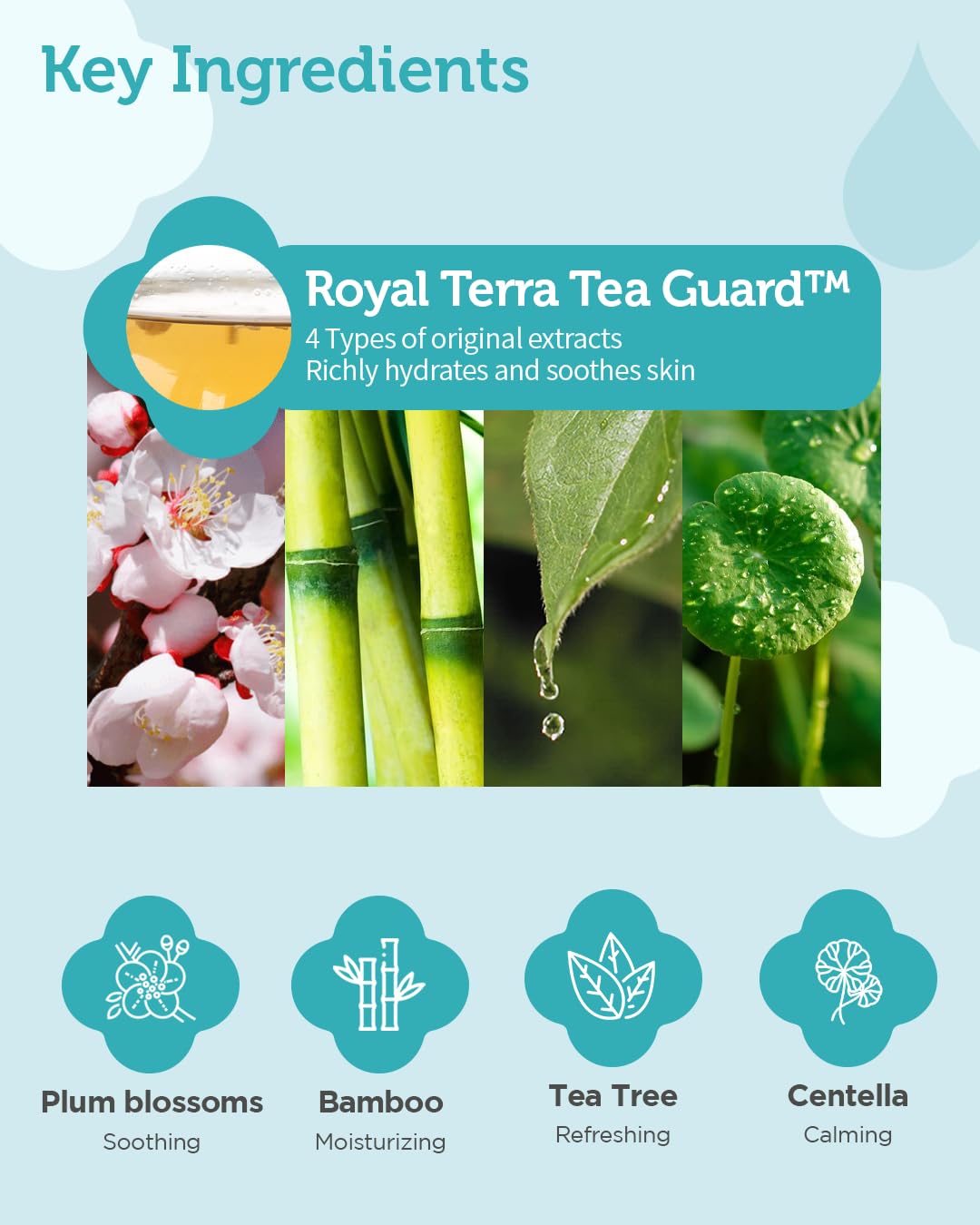 GOONGBE Royal TheraTea Guard ingredient close-up emphasizes natural protection.